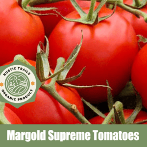 Marglobe Supreme Tomatoes